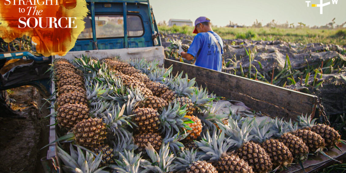 “Straight to the Source” Returns, Spotlighting Taiwan’s Rich Food Heritage
