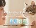 ZuttoNyan Relaunches: Science-Driven, Companionship-Led — Redefining a New Standard for Pet Living