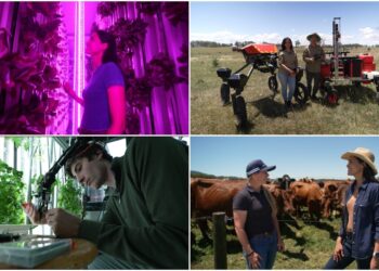 CNN’s ‘Tech for Good’ explores how young innovators are making agriculture smarter, greener and more resilient