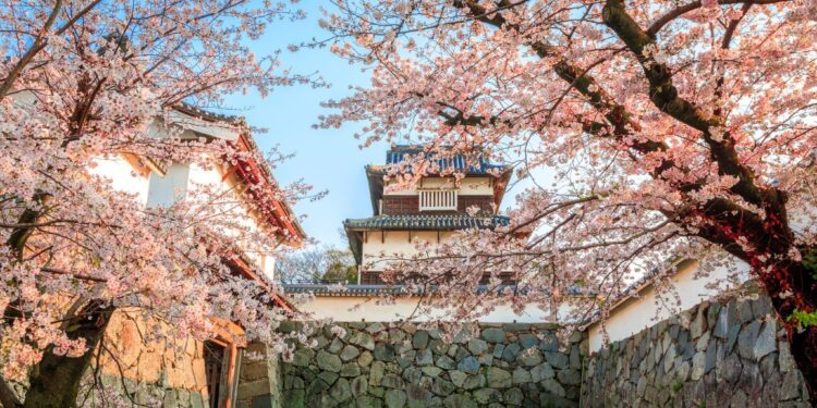 Golden Route to WEST JAPAN Partners with Airalo to Launch Exclusive Travel Connectivity Campaign
