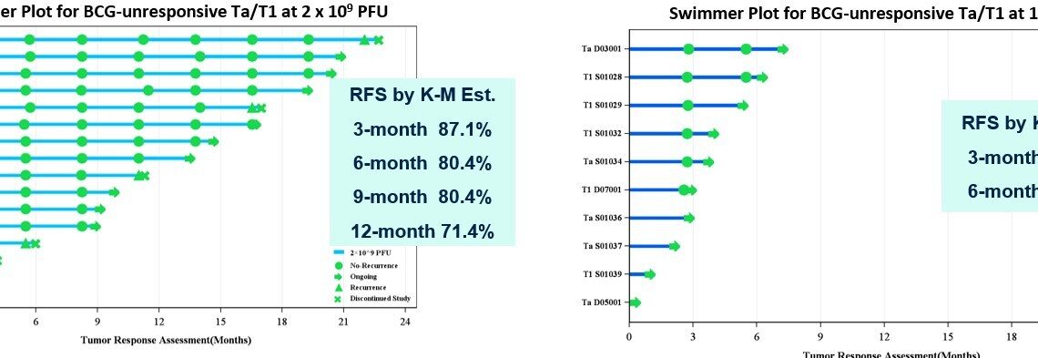 High Response in Bladder Cancer: Immvira Announced Its MVR-T3011 Latest Clinical Results in BCG-Unresponsive Bladder Cancer Patients at 2025 Annual Meeting of the Society of Urologic Oncology