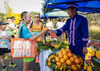 Xinhua Silk Road: Small navel oranges become big lever to boost ethnic county economy in Guangxi