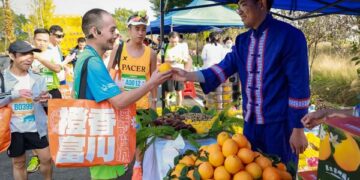 Xinhua Silk Road: Small navel oranges become big lever to boost ethnic county economy in Guangxi