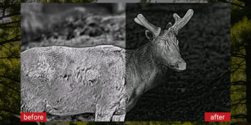 ApexVision Debuts at CES 2026: Guide Sensmart Ushers in the Ultra-Clarity Era of Thermal Imaging