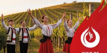National Wine Day Turns 25: The Republic of Moldova – A Small Country with Global Wine Ambitions