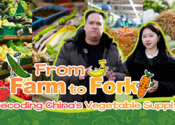 From Farm to Fork: Decoding China’s Vegetable Supply