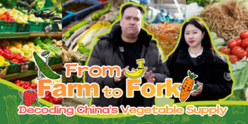 From Farm to Fork: Decoding China’s Vegetable Supply