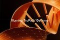 Illumina launches TruPath Genome, setting a new standard in genomic insight