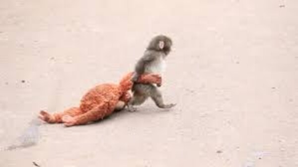 HTX Expands Its Philanthropic Footprint: Connecting Global Kindness Through the “Punch Spirit”