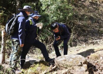 Mountain quest reveals hidden riches