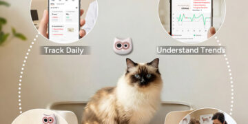 SiiPet Highlights Spring Health Priorities for Cats as Seasonal Initiative Expands Access to AI‑Driven Monitoring