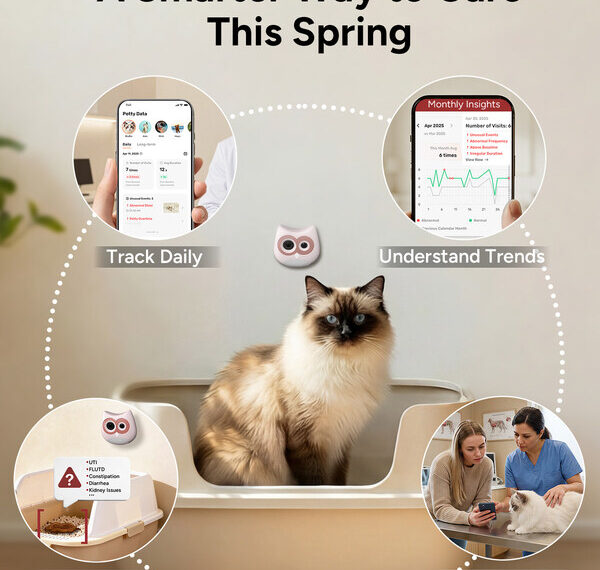 SiiPet Highlights Spring Health Priorities for Cats as Seasonal Initiative Expands Access to AI‑Driven Monitoring