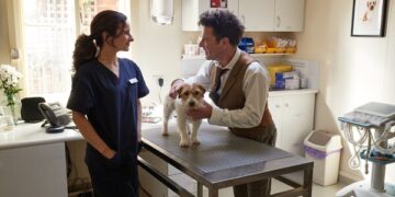 Celebrate National Puppy Day: Budget Direct Pet Insurance Highlights the Joy of New Beginnings and Lifelong Pet Wellness