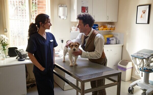 Celebrate National Puppy Day: Budget Direct Pet Insurance Highlights the Joy of New Beginnings and Lifelong Pet Wellness