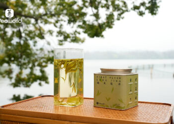 Why Does Some Green Tea Taste Bitter: iTeaworld Introduces an Easier Way to Discover Chinese Green Tea