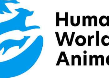 Program launched in Indonesia to help end the dog meat trade by finding traders alternative livelihoods