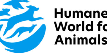 Program launched in Indonesia to help end the dog meat trade by finding traders alternative livelihoods