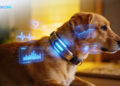 Embedded world 2026 | Leading the Pet Tech Revolution: MQ771-GL Redefines Smart Pet Collars