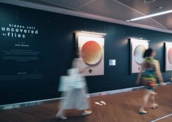 Artist Uses Flies to Reveal the Truth About Sodium