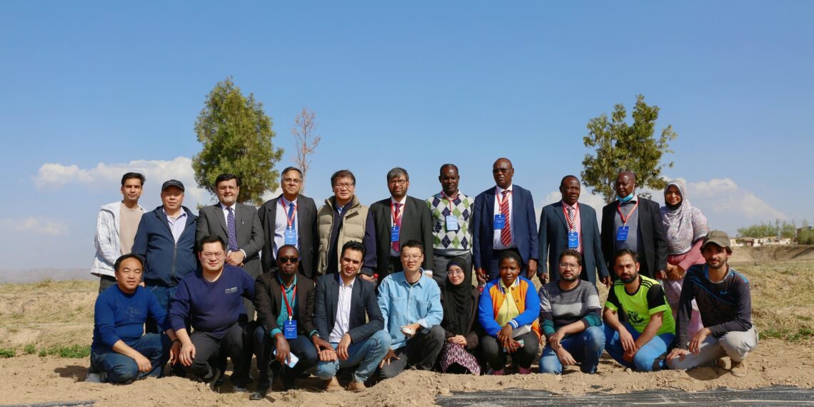 Professor Youcai Xiong’s Team at Lanzhou University: Building New Bridges for China-Pakistan Cooperation through Dry-land Farming Technology