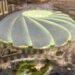 Aramco Stadium Company announces executive leadership appointments