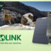 Reolink Solar Security Cameras Help Power a Greener Planet this Earth Day