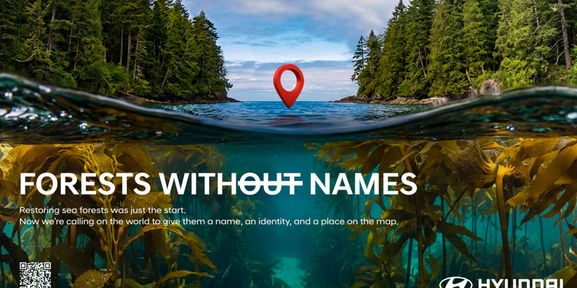Forests Without Names: Hyundai Motor Brings the World’s Hidden Sea Forests Into the Light