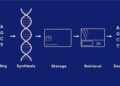 GenScript and Mimulus Partner to Industrialize DNA-Based Data Storage for the AI Era