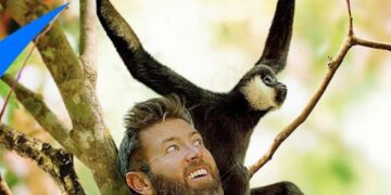 PHANTASTICUS PICTURES ANNOUNCES THE INTERNATIONAL RELEASE OF VANTARA: SANCTUARY STORIES, PREMIERING ON DISCOVERY INTERNATIONAL PLATFORMS THIS SPRING