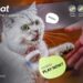 PettiChat Launches World’s First Real-Time Pet Translator on Kickstarter: Start a Real Conversation with Your Pet