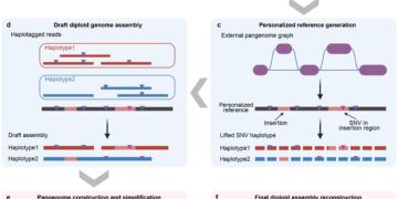 Assembling Over 1,000 Human Genomes Affordably: New Method Powers Medicine’s Future