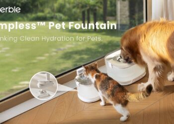 Cheerble Expands Its Pumpless Pet Fountain Lineup with the Launch of Elfin D1 Pro for Dogs