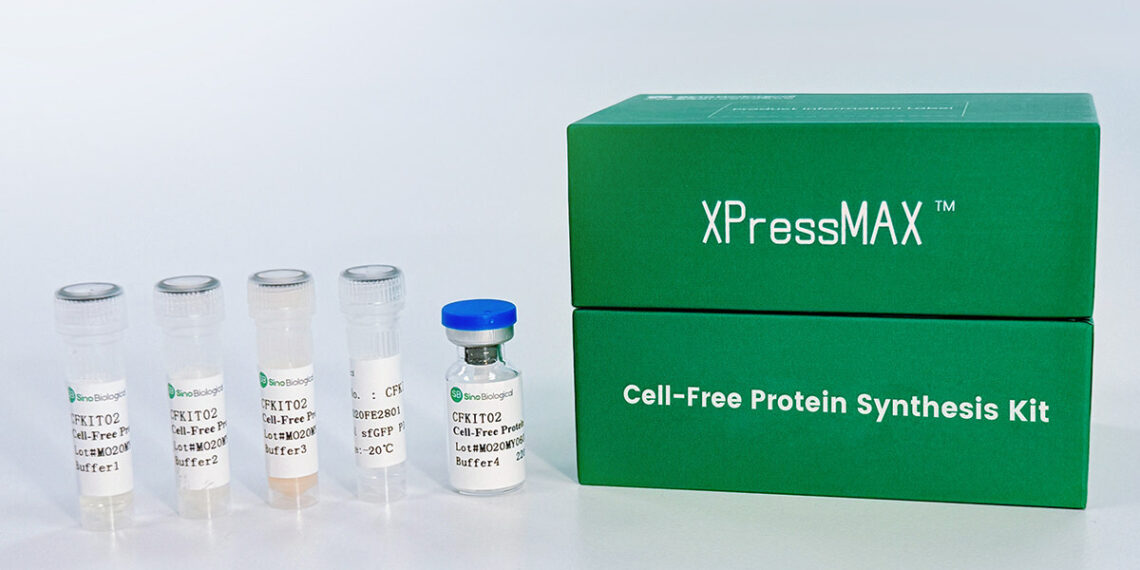 Sino Biological Launches XPressMAX™ Cell-Free Protein Synthesis Kit, Accelerating AI-Powered High-Throughput Antibody Drug Discovery