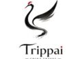 Trippai China Travel Launches to Connect Global Travelers with the Authentic Soul of China Through Curated Cultural Journeys