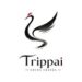 Trippai China Travel Launches to Connect Global Travelers with the Authentic Soul of China Through Curated Cultural Journeys