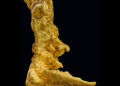 Historic Boot of Cortez Gold Nugget to be Auctioned on June 12 at EJ’s Auction & Appraisal