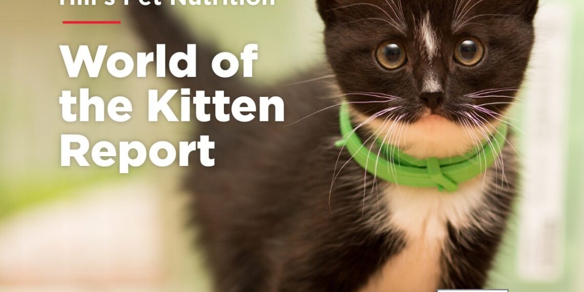 Blueprint for a Lifetime: Hill’s ‘World of the Kitten’ Report Supports Veterinary Teams & Pet Parents in Navigating the Critical First Year
