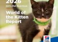 Blueprint for a Lifetime: Hill’s ‘World of the Kitten’ Report Supports Veterinary Teams & Pet Parents in Navigating the Critical First Year