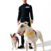 VETRESKA Becomes Official Luxury Pet Accessories Partner of Formula 1 Driver Ollie Bearman