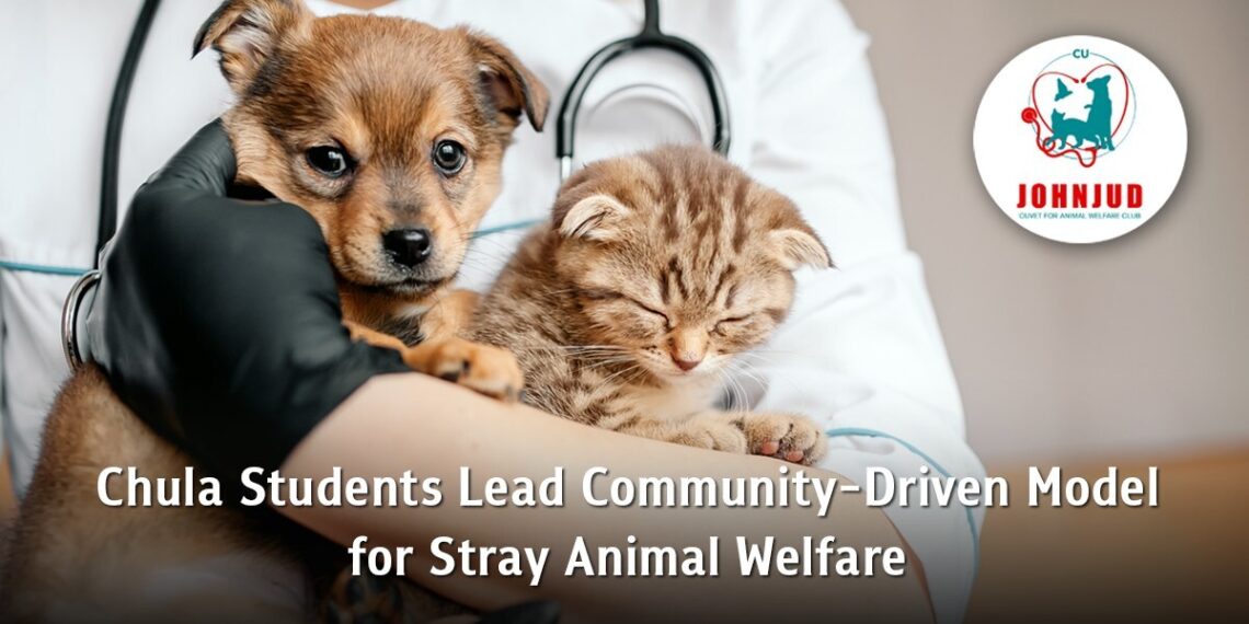 Chula Students Lead Community-Driven Model for Stray Animal Welfare