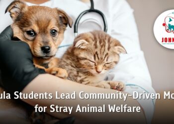Chula Students Lead Community-Driven Model for Stray Animal Welfare
