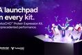 GenScript Launches TurboCHO™ Protein Expression Kit, Delivering the Fastest Path to Antibodies in its Class