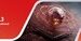China Medical Exhibition 2026: Industries, Products, and Innovations to Watch