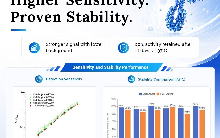 Elabscience® Launches Self-Developed PolyHRP-Streptavidin Conjugate for Low-Abundance Biomarker Detection in ELISA