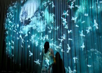 Science Centre Singapore Presents the Global Debut of ONE Ocean, an Immersive Ocean Science Exhibition