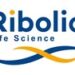 Ribo and Boehringer Ingelheim further progress their siRNA program for metabolic dysfunction-associated steatohepatitis (MASH)