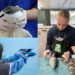 SEA LIFE Kelly Tarlton’s is Lighting the Way for Cook’s Petrels
