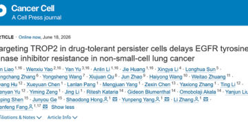 Translational Research Results of Sacituzumab Tirumotecan (sac-TMT) in Combination with Osimertinib as First-Line Treatment for EGFR-Mutant NSCLC Published in Cancer Cell