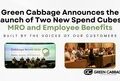 Green Cabbage Announces the Launch of Two New Spend Cubes: MRO and Employee Benefits