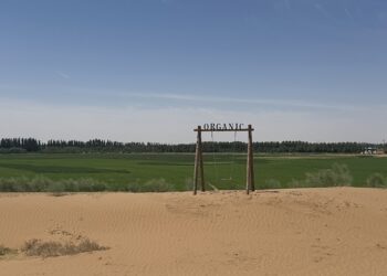 Bridging International investors with China’s Agri-Food businesses through Sustainability: ChinaAMC’s ESG trip